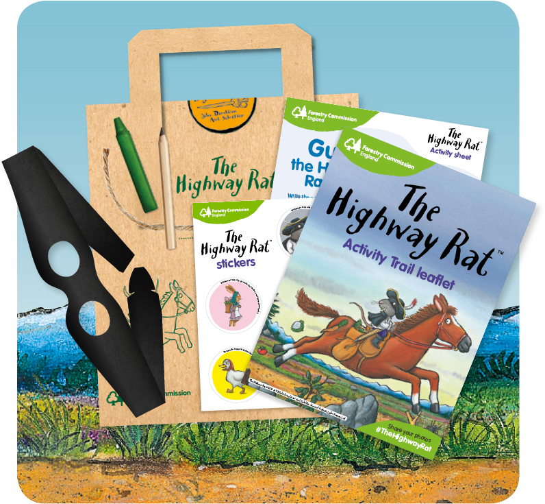 Activity Kit - Highway Rat By Julia Donaldson (833x833), Png Download