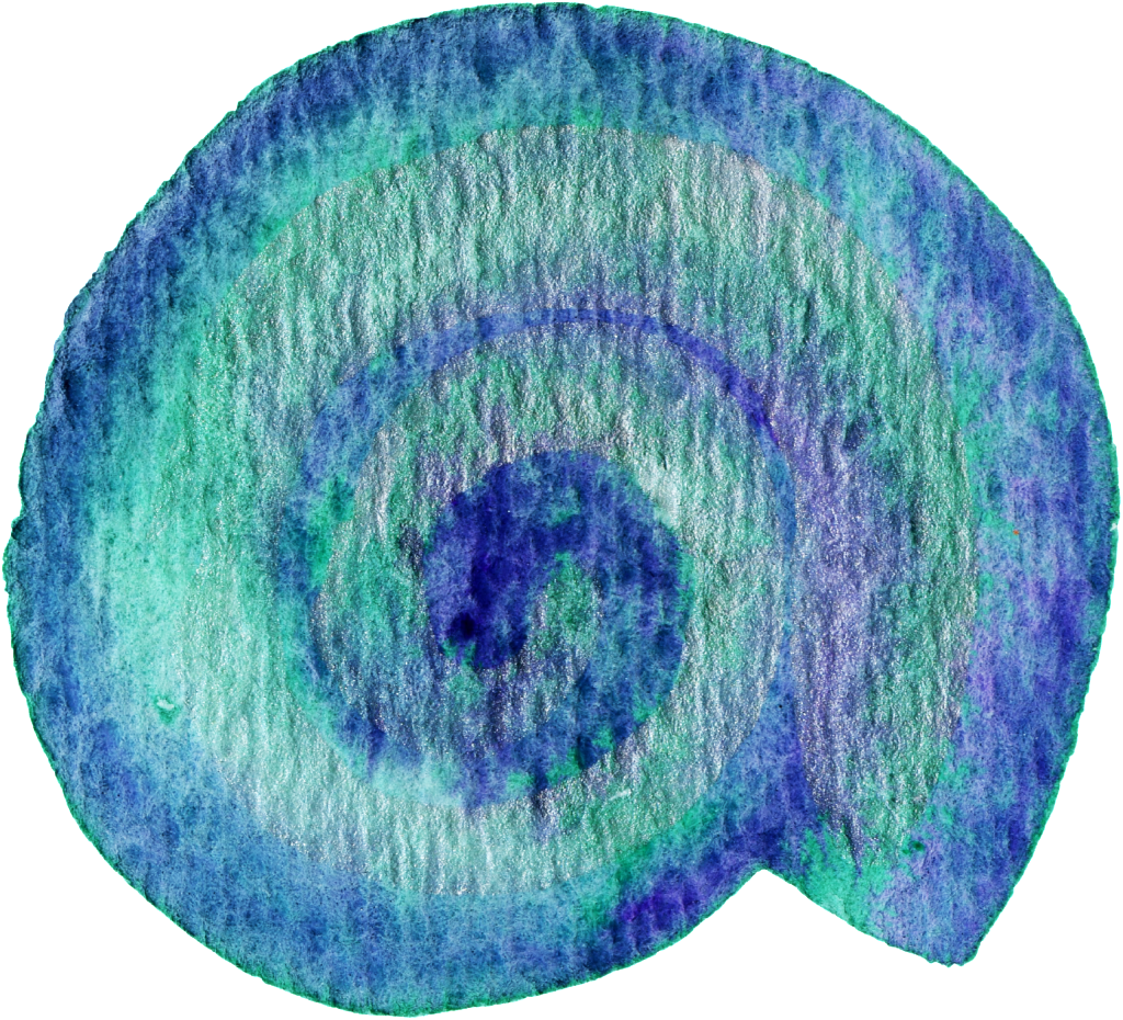 Pintado A Mano De Caracol Png Transparente - Color (1024x930), Png Download