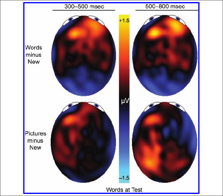 Topographic Maps Of Old/new Differences From Experiment - Topographic Map (744x654), Png Download