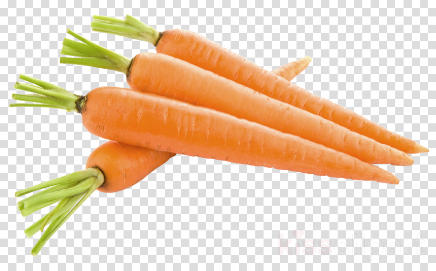 Carrot Png Clipart Carrot Clip Art - Carrot Clipart Transparent Background (900x560), Png Download