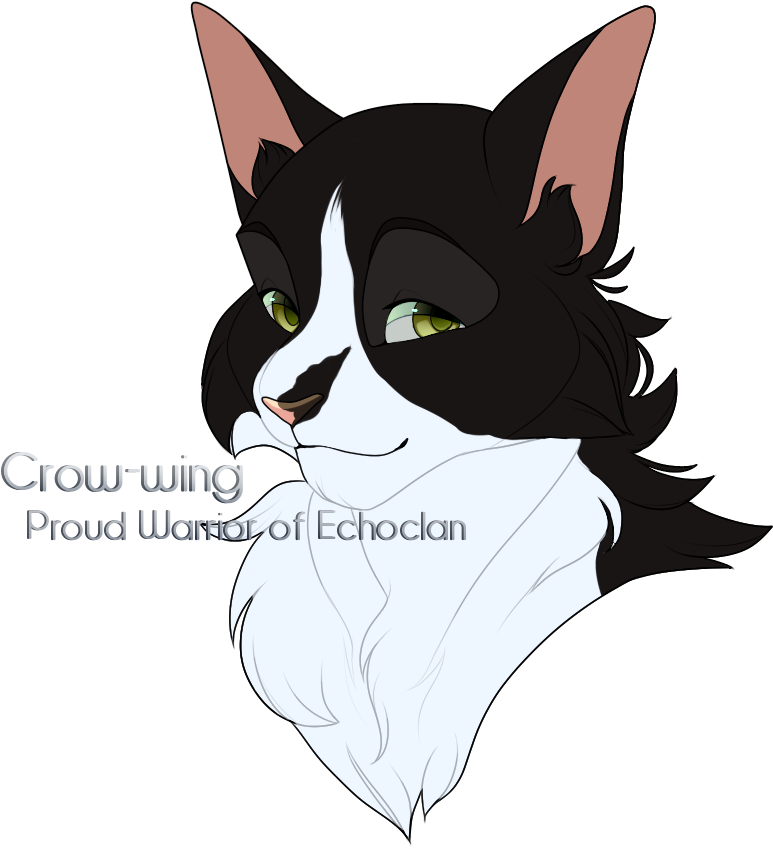 Crowwing - Cartoon (883x949), Png Download