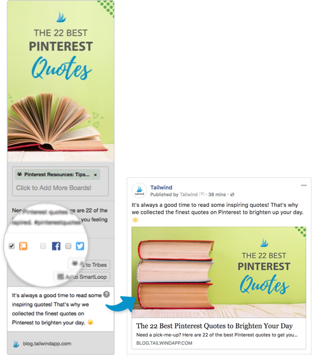Best Of All, Facebook Will Scan The Page You Share - Cute Animals 4: 6x9 - Blank Lined Journal (611x695), Png Download