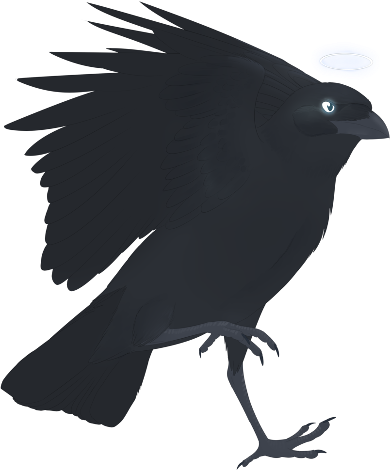Graphic Freeuse Stock Birb Drawing Crow - March 23 (900x1020), Png Download