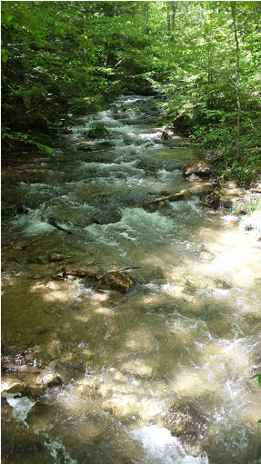 Water Rushes Along Creek Bed On The Falling Water Trail - Beaver Valley Ski Club (680x510), Png Download