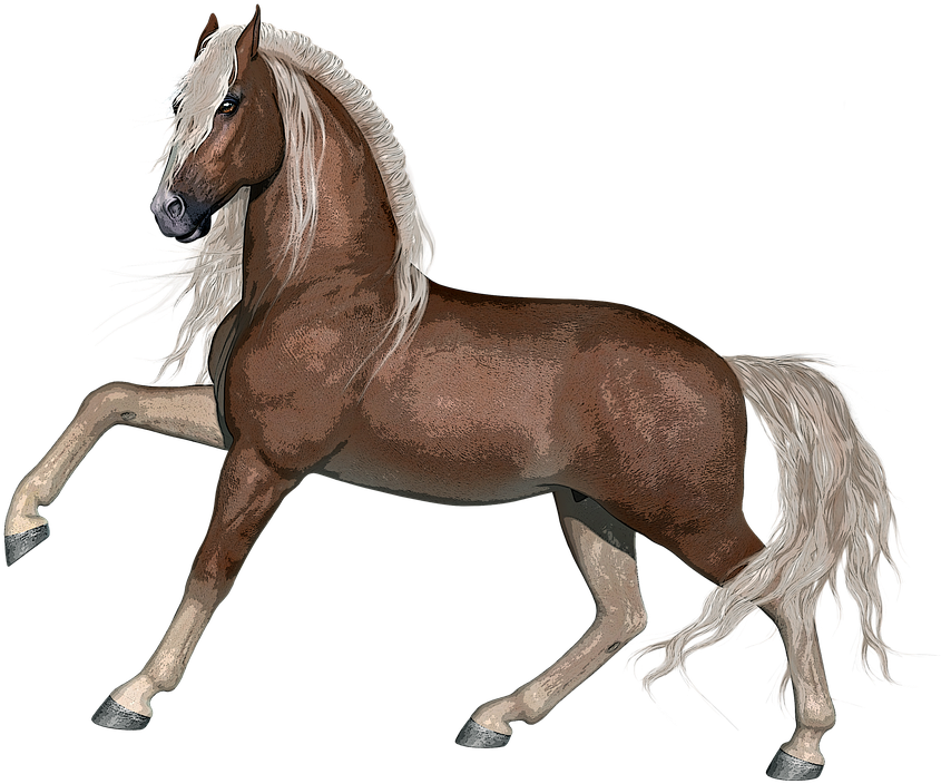 Horse, Stallion, Animal, Farm, Nature, Mammal, Equine - Disegni Da Stampare Di Cavalli (855x720), Png Download