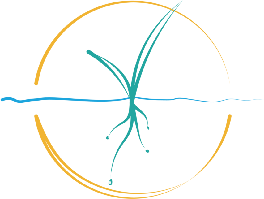 Healing Sessions Can Be Offered Online (skype / Facetime - Circle (900x900), Png Download