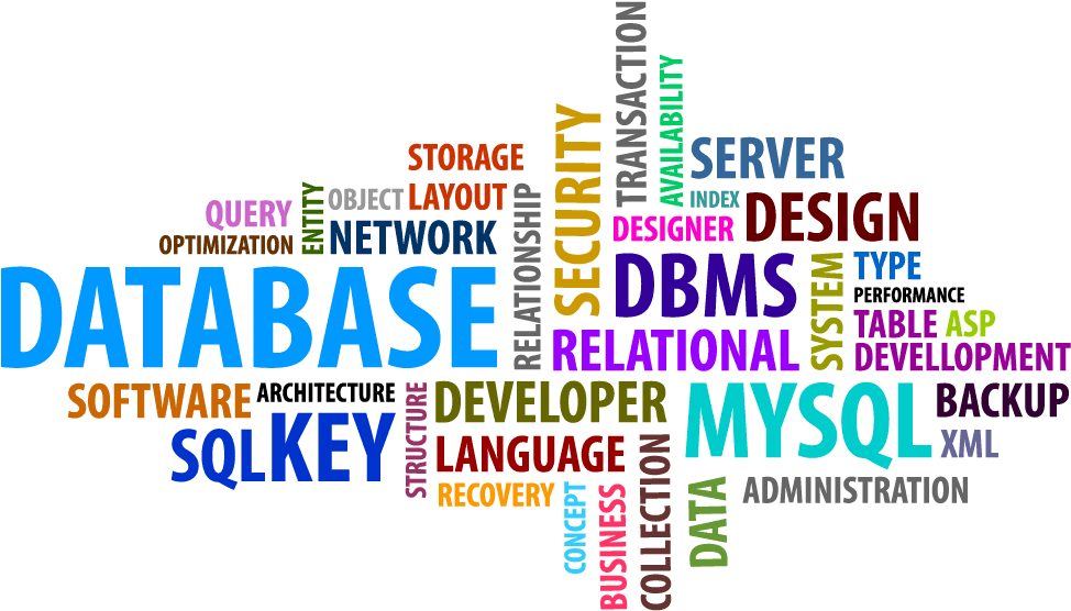 Mnc Hiring For Lead Ms Sql Server Developer At Andheri, - Dundee Social Enterprise Network (1005x600), Png Download