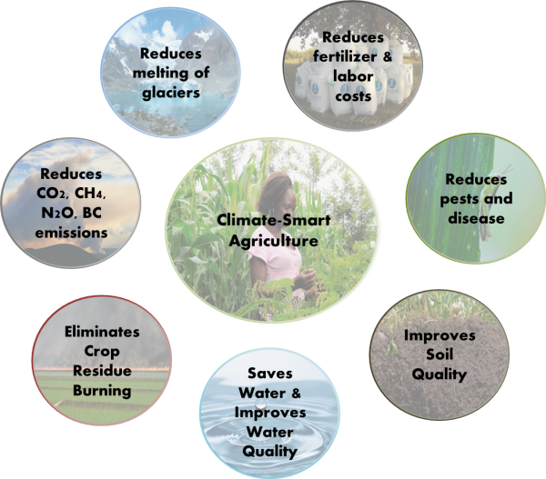 Climate-smart Agriculture - Agriculture (600x527), Png Download