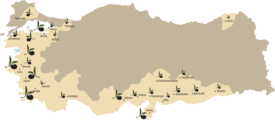 Turkey Olive Map - Kurden In Der Türkei (1143x499), Png Download
