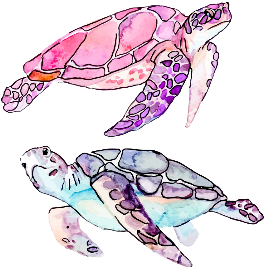 Clip Art Sea Cartoon Illustration Transprent Png Free - Watercolor Sea Turtle Clipart (1000x1000), Png Download