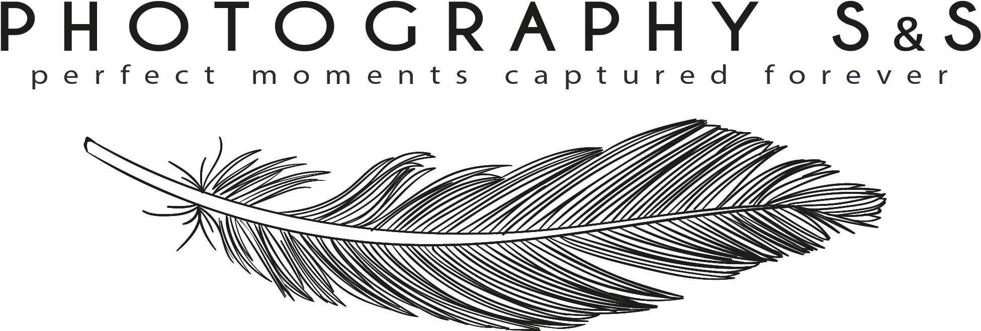 Destination Wedding Photographer S - Password Logbook: A Premium Journal An Internet Address (2034x722), Png Download