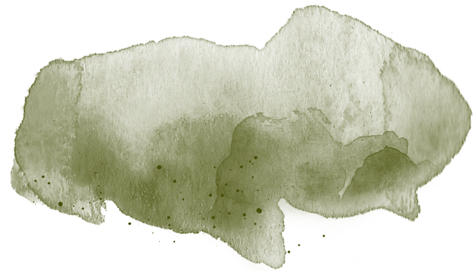 Watercolorbadge-10 (1000x544), Png Download