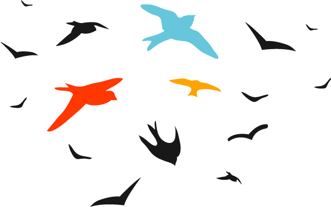 Birds Vector Png - Transparent Bird Vector (646x404), Png Download