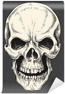 Drawn Skull Vector - Man The Myth The Legend Wilson The Man The Myth (400x400), Png Download
