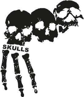 3 Skulls Vector - 3 Skulls Logo (400x400), Png Download