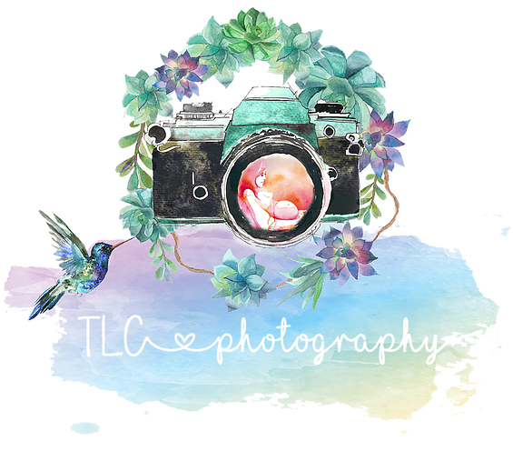 Newborn, Family, Maternity Photographer, Photo Shoot, - All Offers Are Welcome (612x569), Png Download