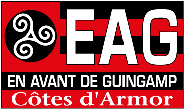 Ea Guingamp Logo - Guingamp Badge (400x400), Png Download