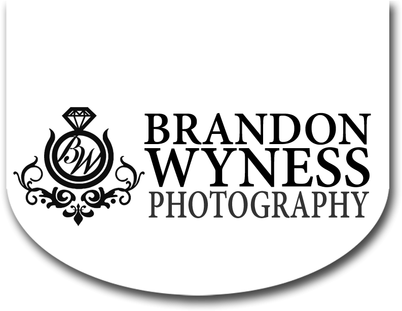 Cropped Wedding Photographer Logo Swing - Swirls And Twirls (827x629), Png Download