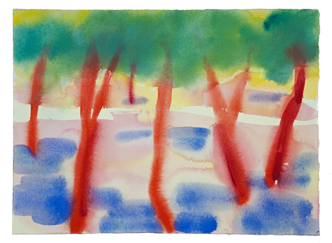 Cork Trees - Watercolor Painting (800x800), Png Download