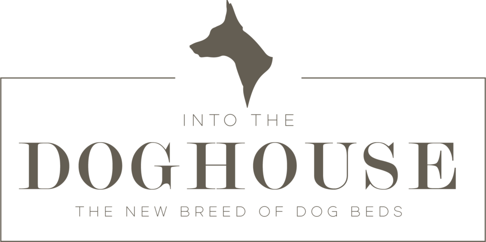 Intothedoghouse Logo - Ring Finger Hat - Ring Finger - Funny Hat - Dad Hat (1000x499), Png Download