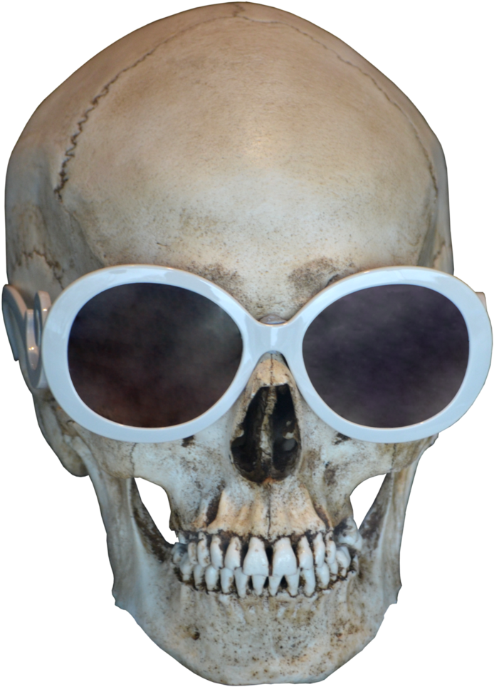 Skull Free Download Png - Skull (765x1045), Png Download