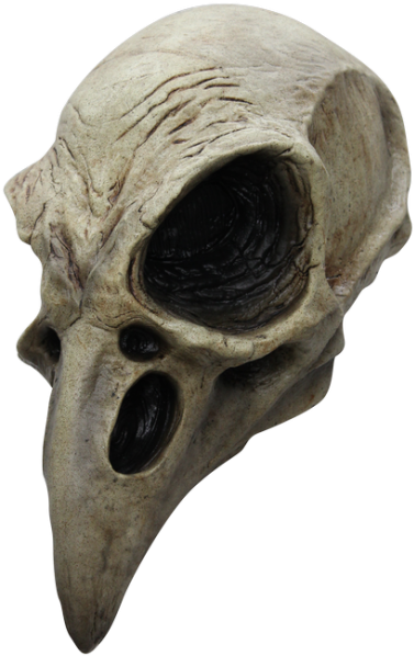 Bureaucrat Skull - Crow Skull (600x600), Png Download