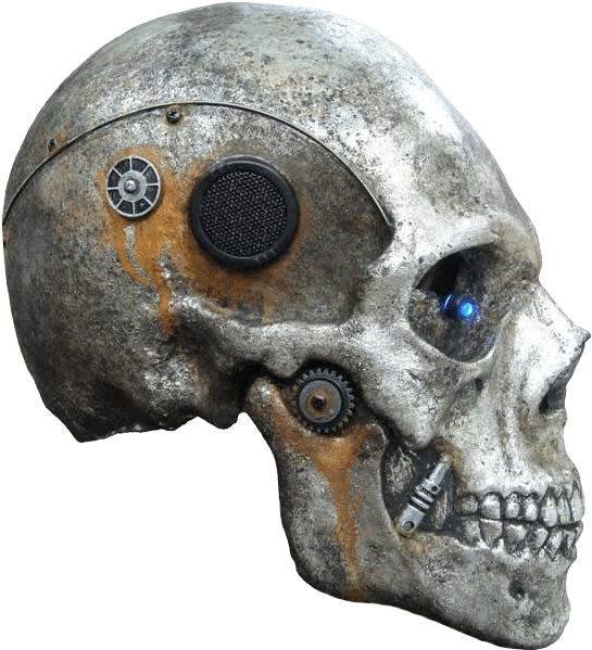 Skeleton Head Png Photo - Skull (580x773), Png Download