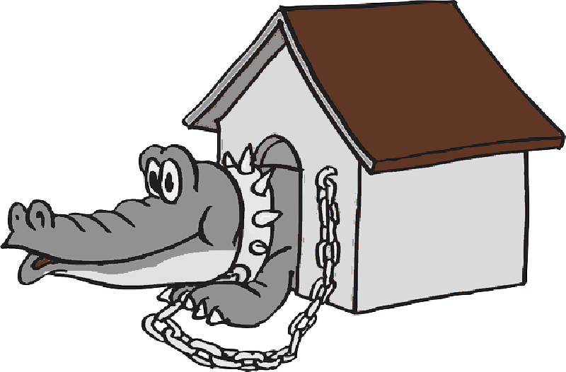 Mb Image/png - Alligator In Doghouse Mugs (800x526), Png Download