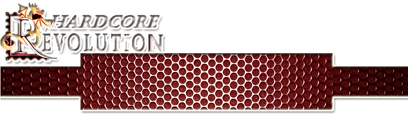Guys, Well Done - Wwe (800x581), Png Download
