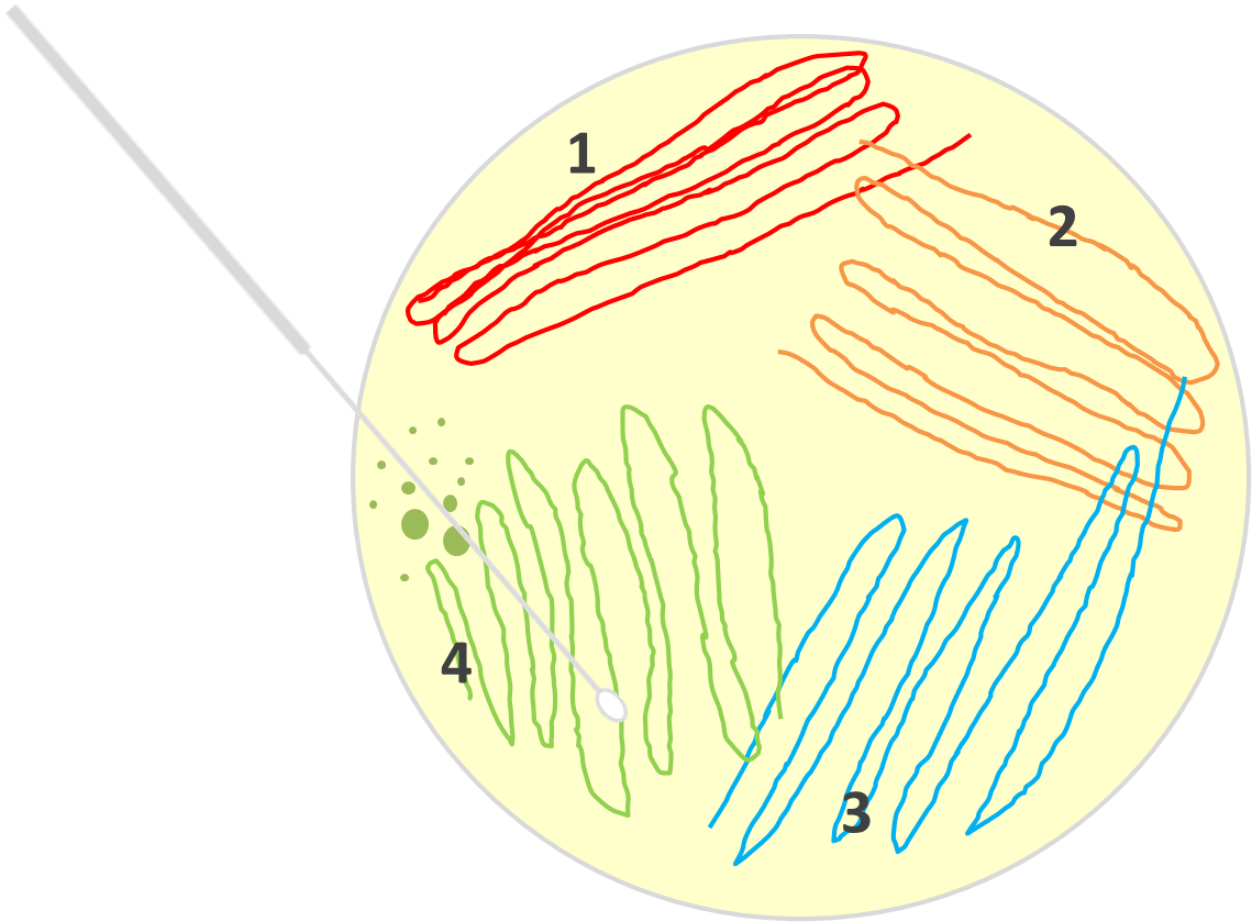 7-streak Plate - การ Streak Plate (1139x839), Png Download