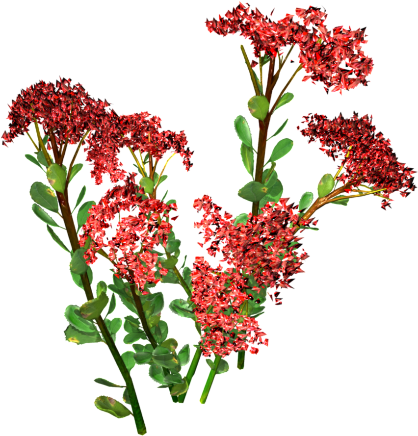 This Product Design Is Hand Painted Red Small Floral - Portable Network Graphics (1024x1638), Png Download