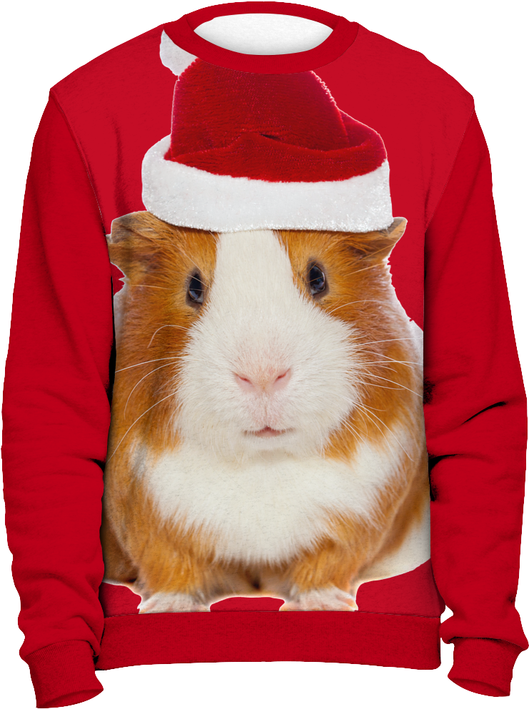 Ugly Christmas Sweater-guinea Pig - Delta Sigma Theta Ugly Sweater (1024x1024), Png Download