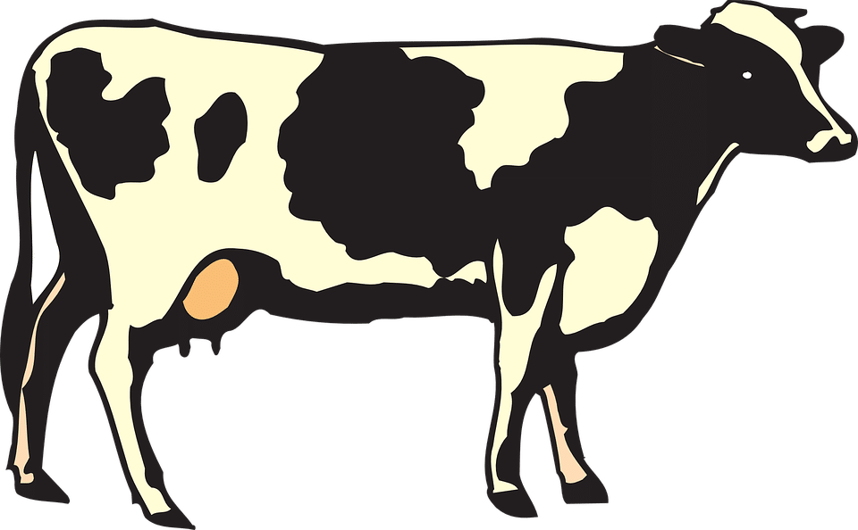 Vaca - Cow Euro Oval Bumper Sticker (960x594), Png Download
