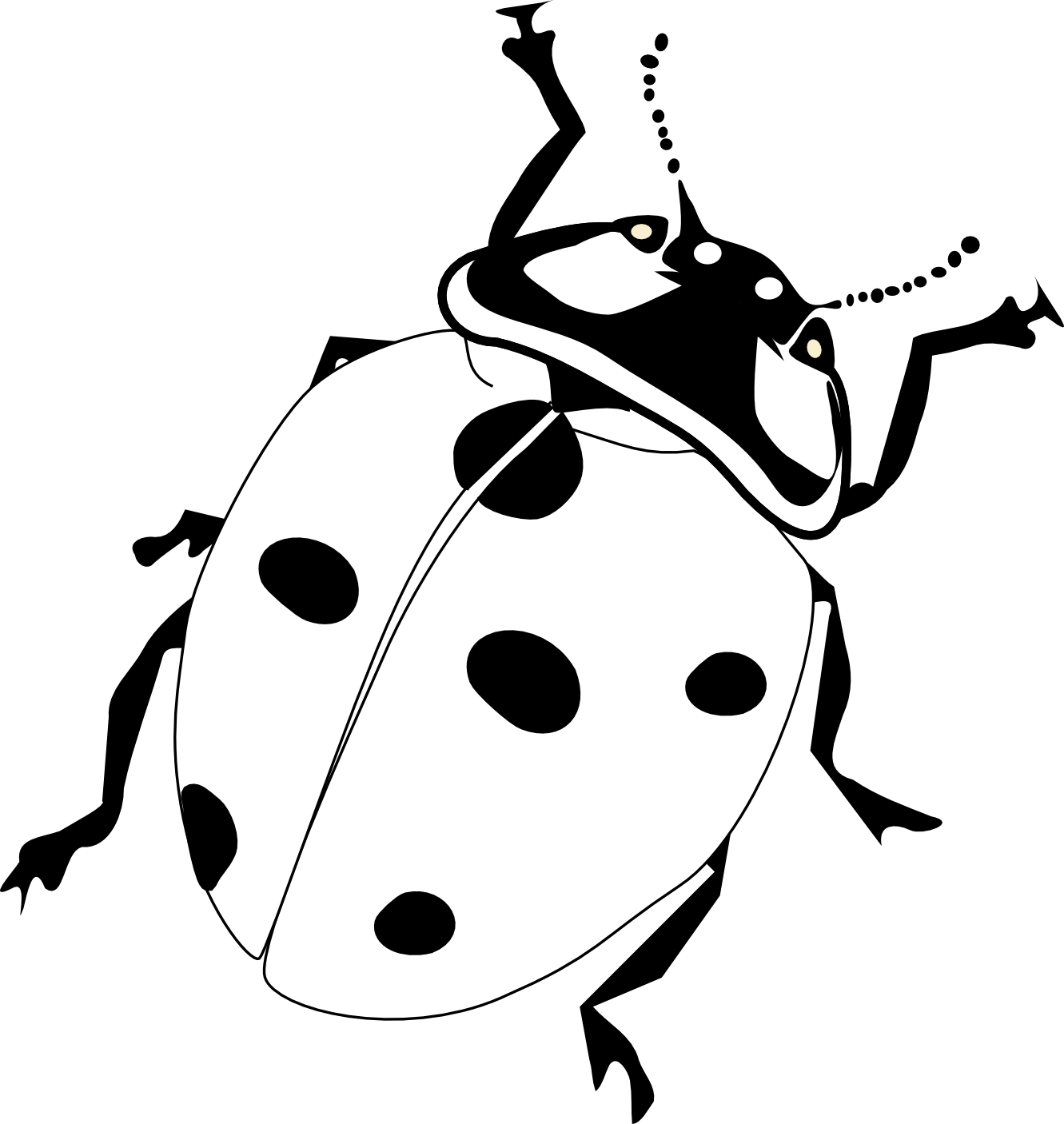Realistic Ladybird Google Search Clip Art Transparent - Ladybird Black And White (1331x1406), Png Download