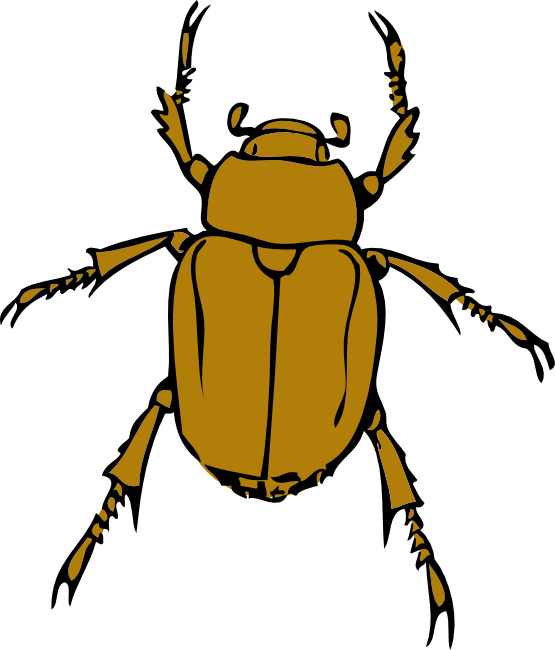 Beetle Bug Clip Art Png - Beetle Clipart (555x650), Png Download