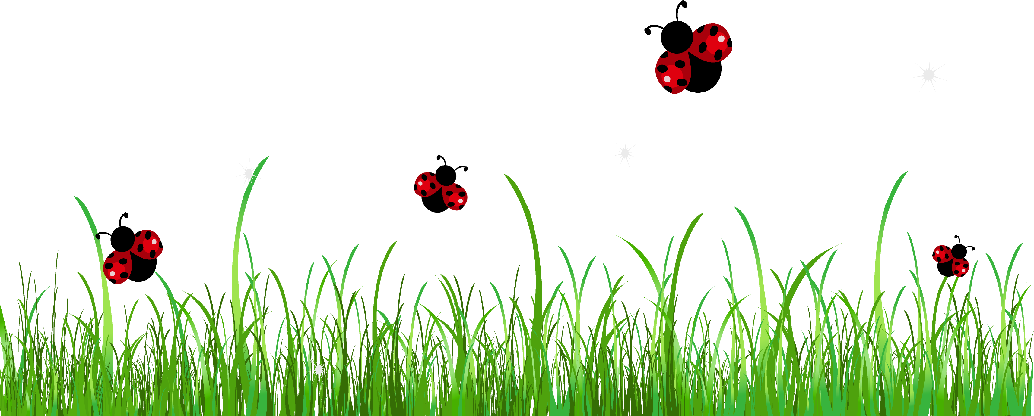 Ladybug Clipart 5 Hd Images - Ladybugs Clipart (3427x1506), Png Download
