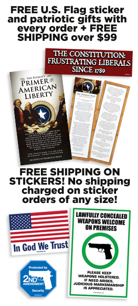 Categories - Second Amendment To The United States Constitution (270x600), Png Download