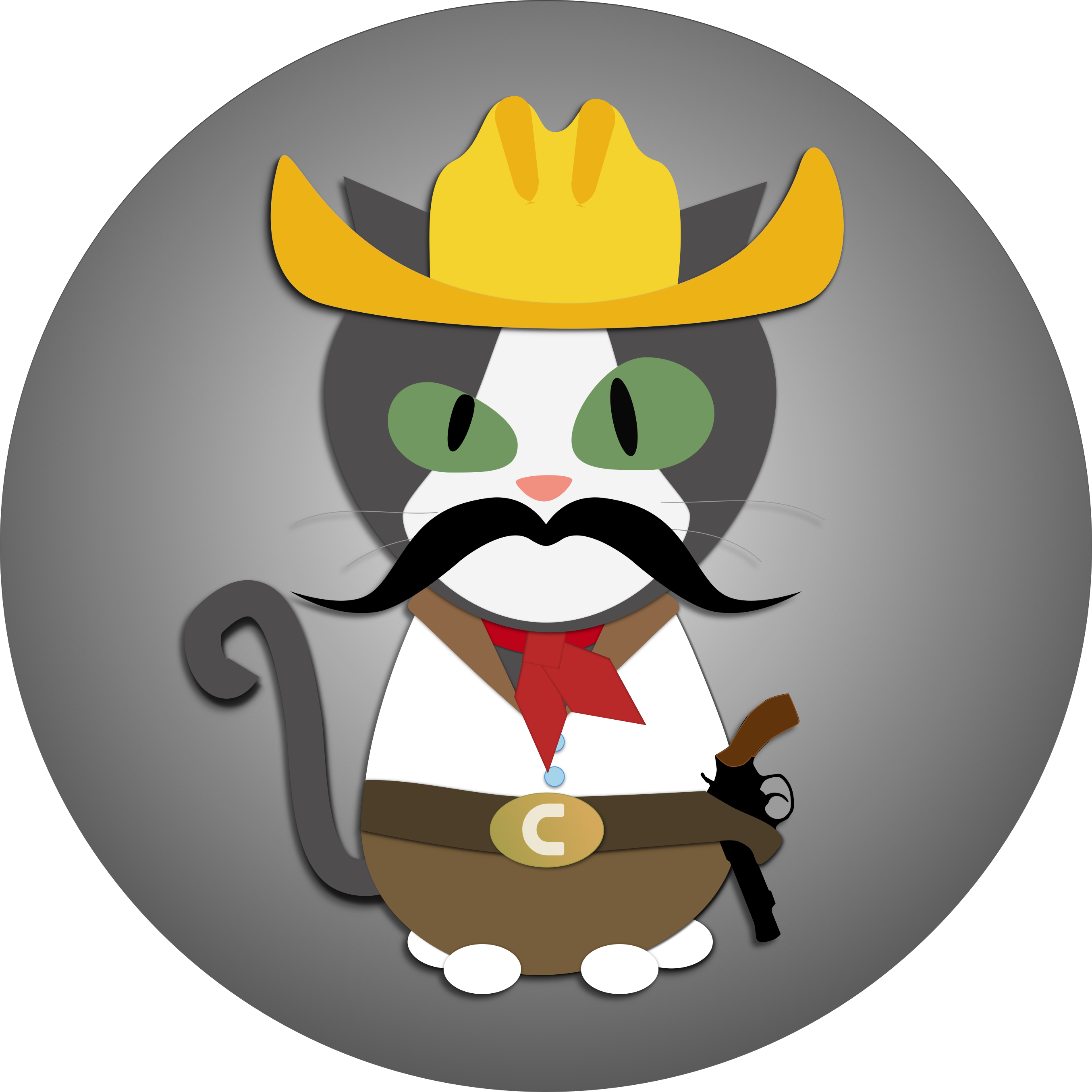 Vader Cat - " - Cat (2710x2710), Png Download