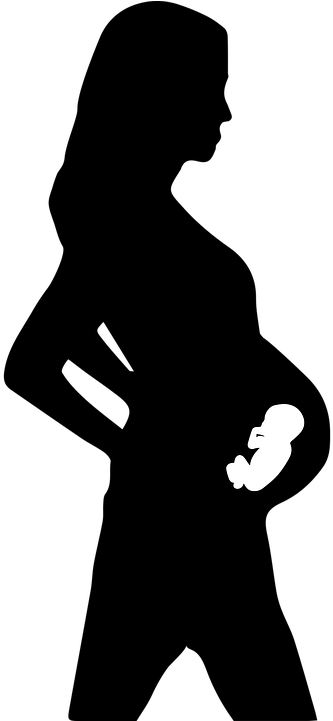 Clip Freeuse Clipart Pregnant Woman - Pregnant Clipart Transparent (360x720), Png Download