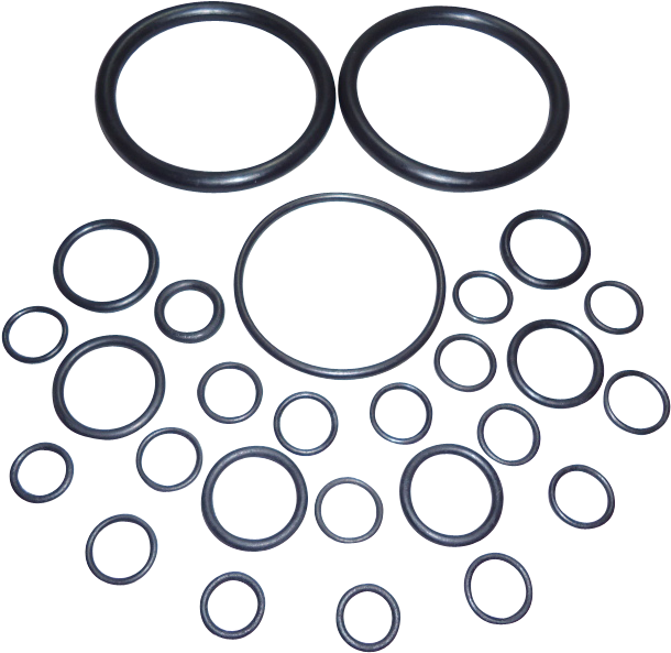 Download Massey Ferguson Hydraulic Pump Seal Kit (2) Pump Full Size