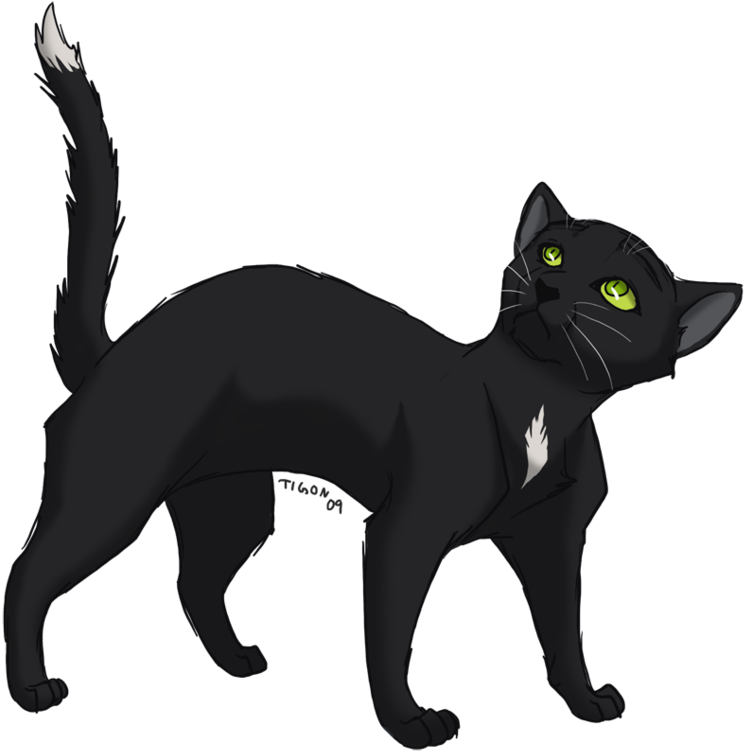 Drawn Black Cat Warrior Cat - Black Cat Warrior Cats (946x844), Png Download
