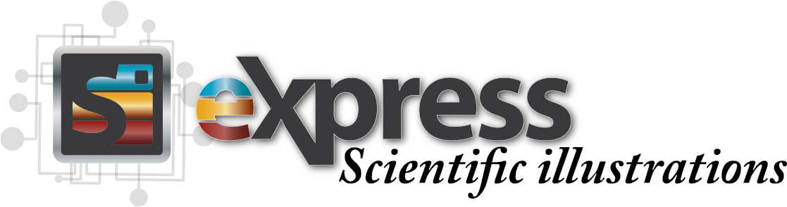 Explain Your Science Visually - Science (1116x312), Png Download