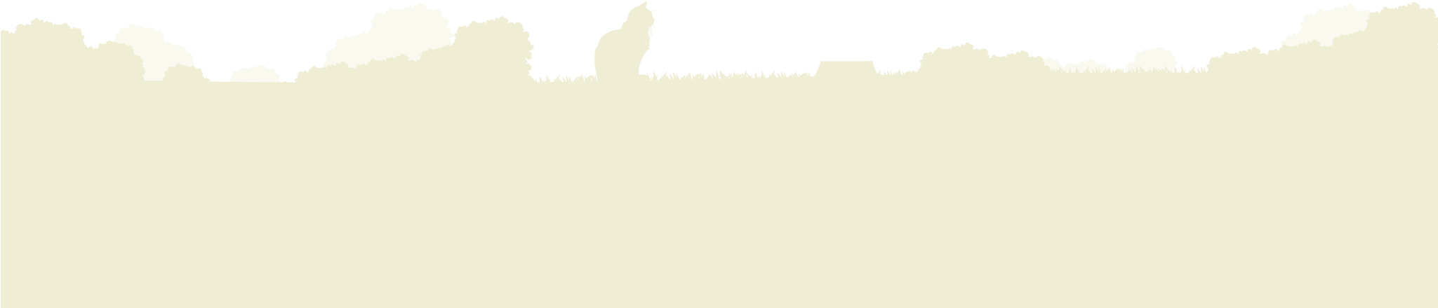 The Official Website For Warriors By Erin Hunter - Silhouette (2048x565), Png Download