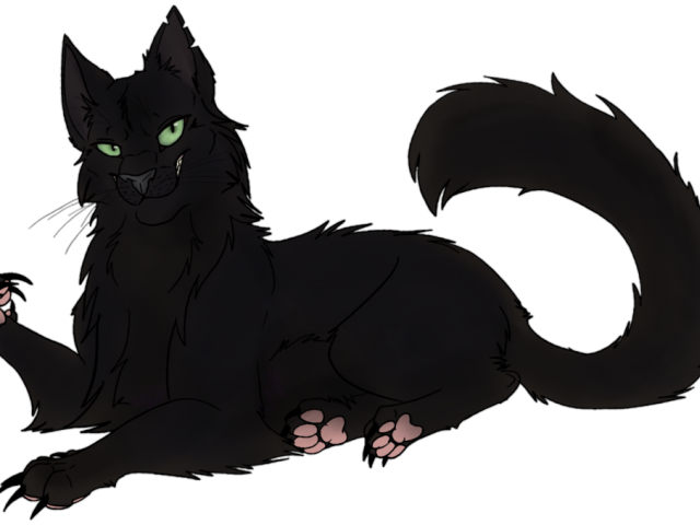 Original - Black Cats Png (640x480), Png Download