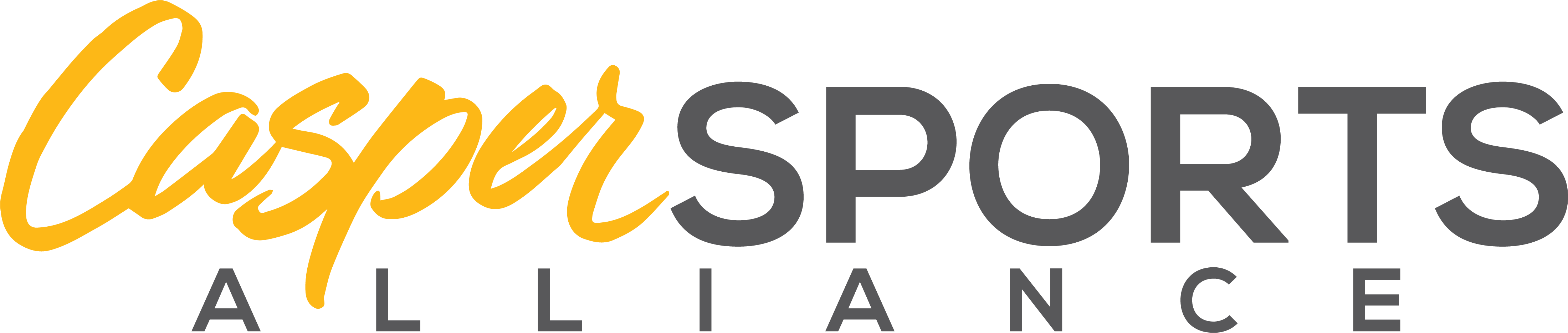 - Com - Sportlabgroup (4398x933), Png Download