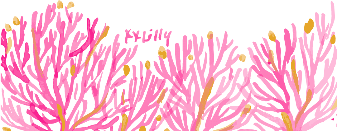 Sc Jamie & Taylor June 16 - Tulip (1080x2340), Png Download