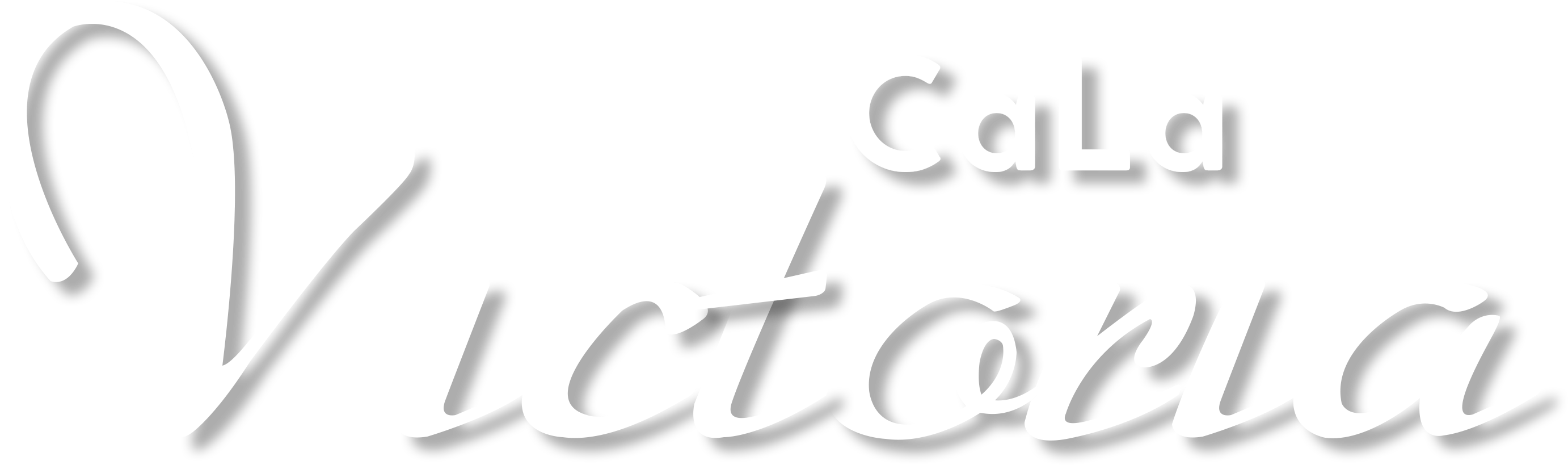 Rosa Nera - Barbieri Federico (2924x997), Png Download