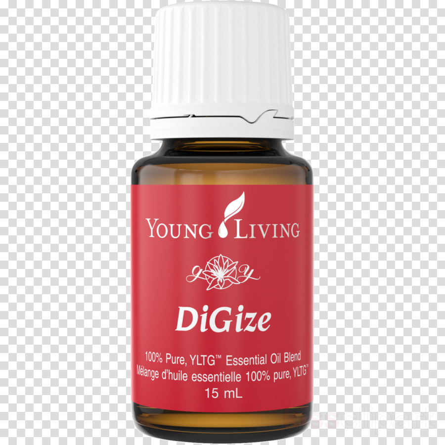 Download Frankincense Young Living Png Clipart Young - Young Living Essential Oil Blend Abundance, 15ml (900x900), Png Download