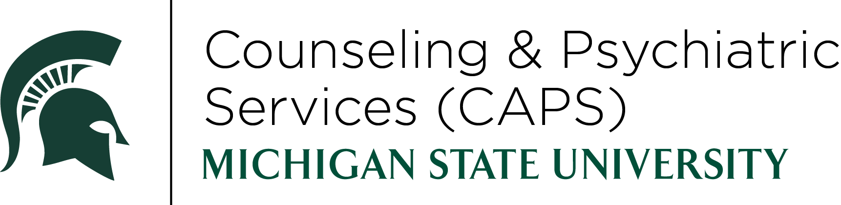 Michigan State University - Michigan State Spartans (1722x420), Png Download