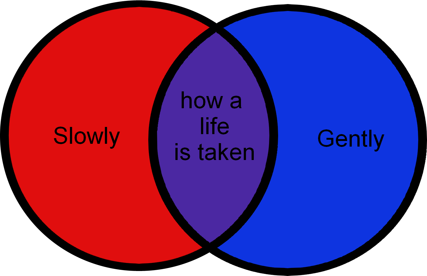 Darkest Dungeon Bonus Fact - Portable Network Graphics (1368x885), Png Download
